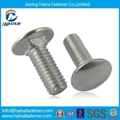 Stainless Steel 317 321 Square Short Neck Carriage Bolt