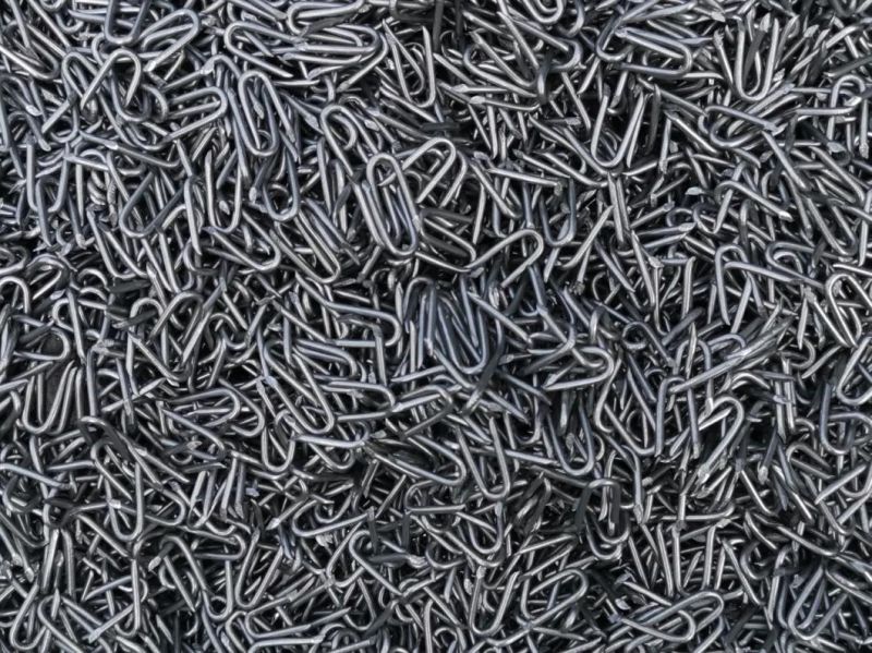 Electro Galvanized Clout Nail with Cheap Price
