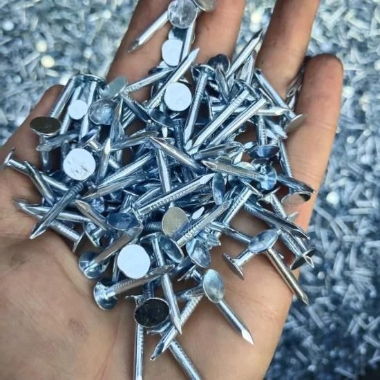 Hot Dipped Galvanized Clout Head Nail