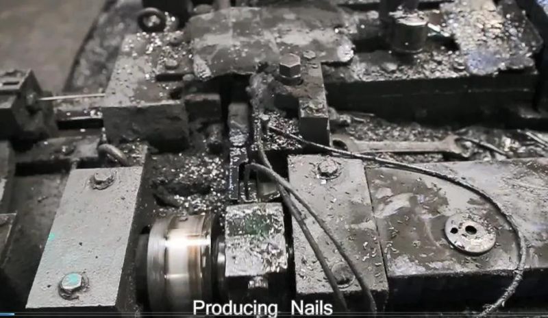 Best Price Common Nails/Concrete Steel Nail /Iron Nail/Polished Wire Nail/Common Round Nails/Metal Nails/Wood Nail