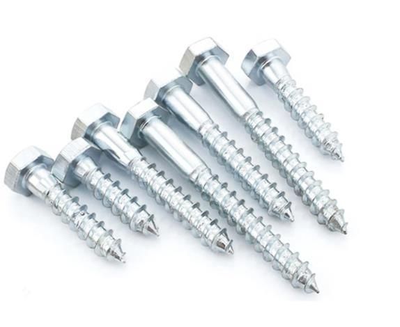 Made in China Good Quality Eg. Q195 DIN571 Wood Screws
