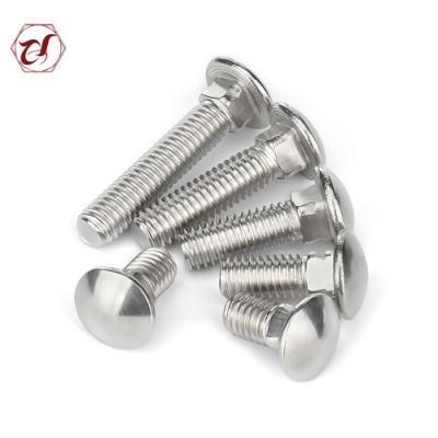 Round Head Square Neck Carrriage Bolt with Black/SS304 Carriage Bolt/SS316 Carriage Bolt