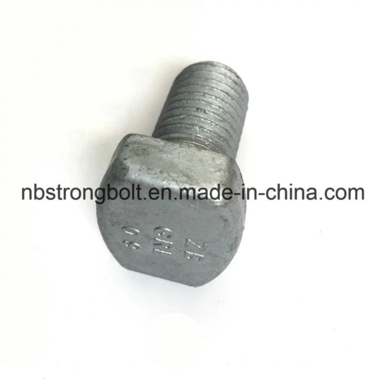 Square Head Bolt Screw Customization/Custmized Square Bolt