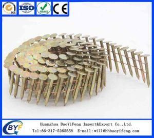 Coil Nail