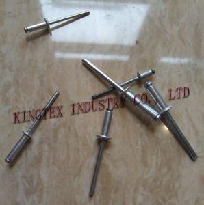 Aluminium Rivet with Different Size and Good Quality