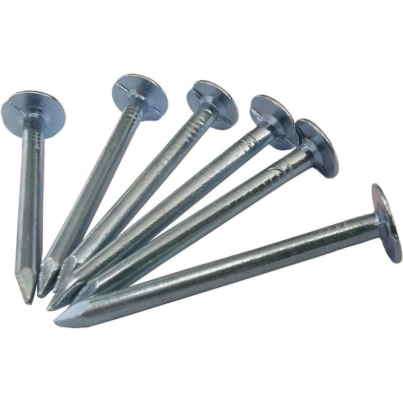 Electro Galvanized Clout Nail with Cheap Price