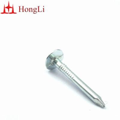 Factory Price 25mm X 3 mm Flat Head Galvanized Clout Nails for Roofing