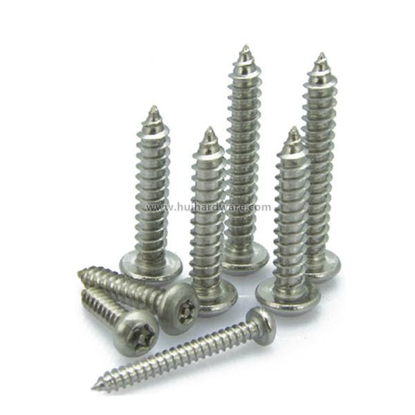 Stainless Steel 304 Torx Head Self-Tapping Security Screws
