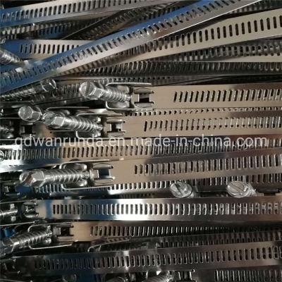 Ss Hose Clamp