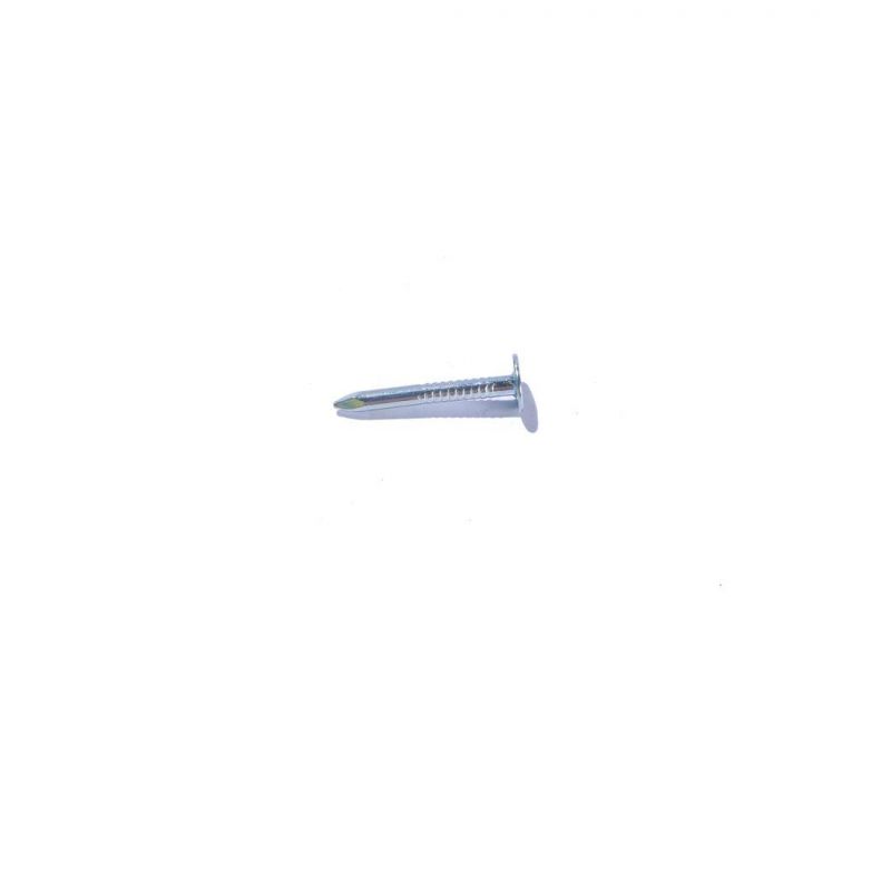 China Supplier Clout Nails Galvanized Cupper Flat Head Roofing Nails