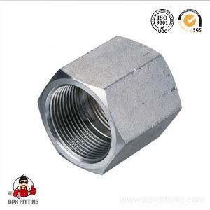 Hydraulic Female Hose Fitting and Adapter