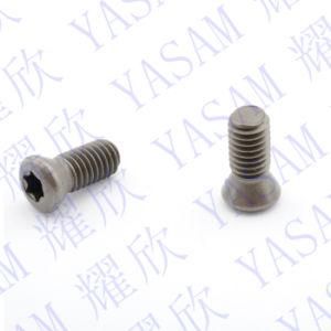 M2X3.3 M2.2X4.5 M2.5X5.5 M3.5X8 Torx Screws for Threading Inserts