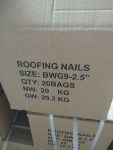 High Quality Galvanized Roofing Nail 1kg/PVC Bag 20bags/Carton