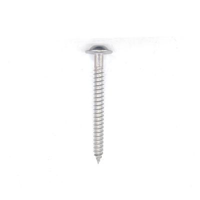 Stainless Steel 304 316 Pan Head Cross Driver Self Tapping Screw with Thread Cutting