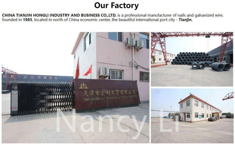 E. G Roofing Nails with Umbrella Head with Twisted Shank with Rubber Washer