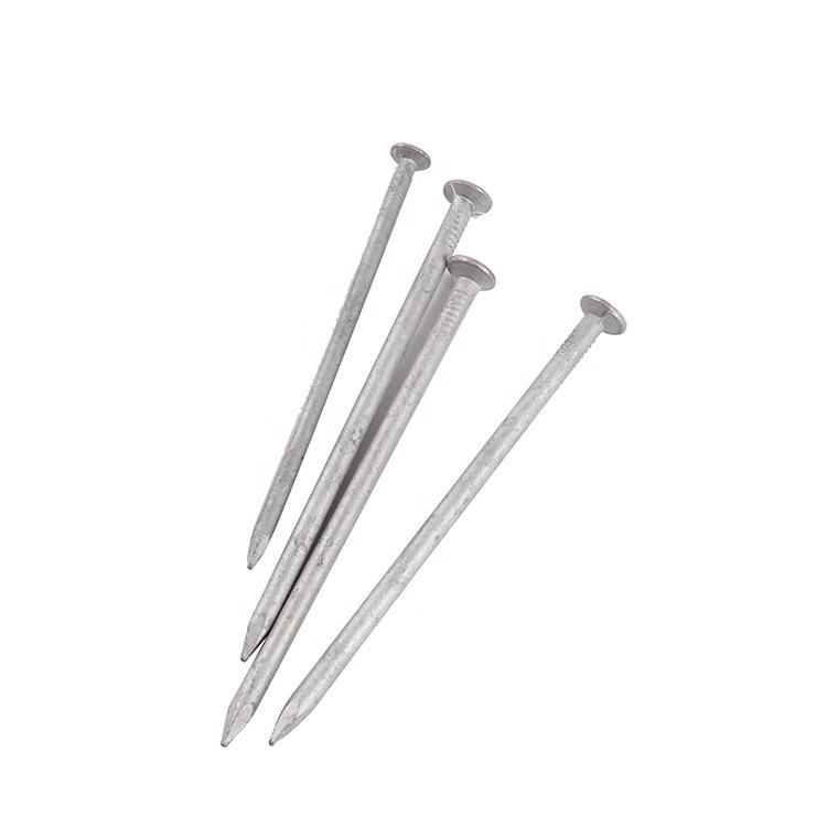 Q195 Polished Nail/Galvanized Iron Roofing Nail/Ring Steel Nail/Coil Nail/U Type Nail/Metal Nail for Construction