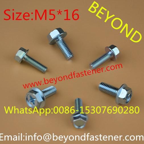 Xylan Screw/Screw/Self Drilling Screw/Fastener/Nail