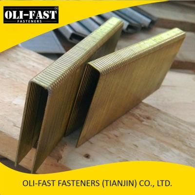 N17 Galvanized Staple, N Staples