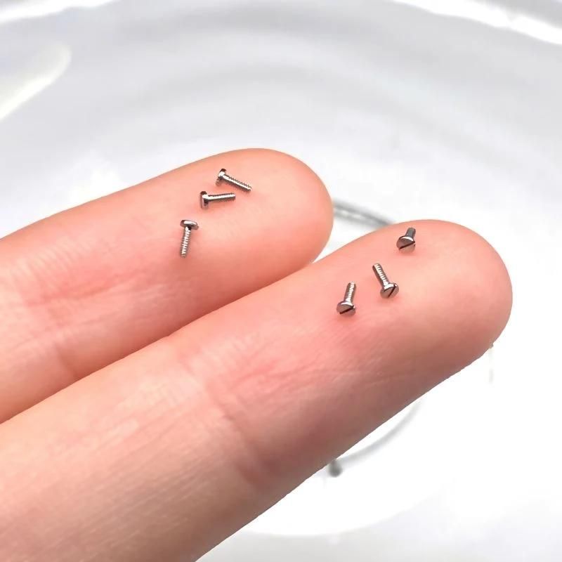 Carbon Steel Mini Small Pan Head Slotted Machine Fastener Screw