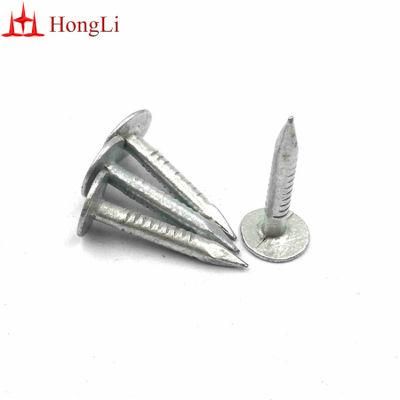 Low Price 25mm X 3 mm Flat Head Galvanized Clout Nails for Roofing
