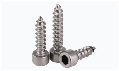 Hexagon Hex Socket Screw Self Tapping Screw Stainless Steel 304