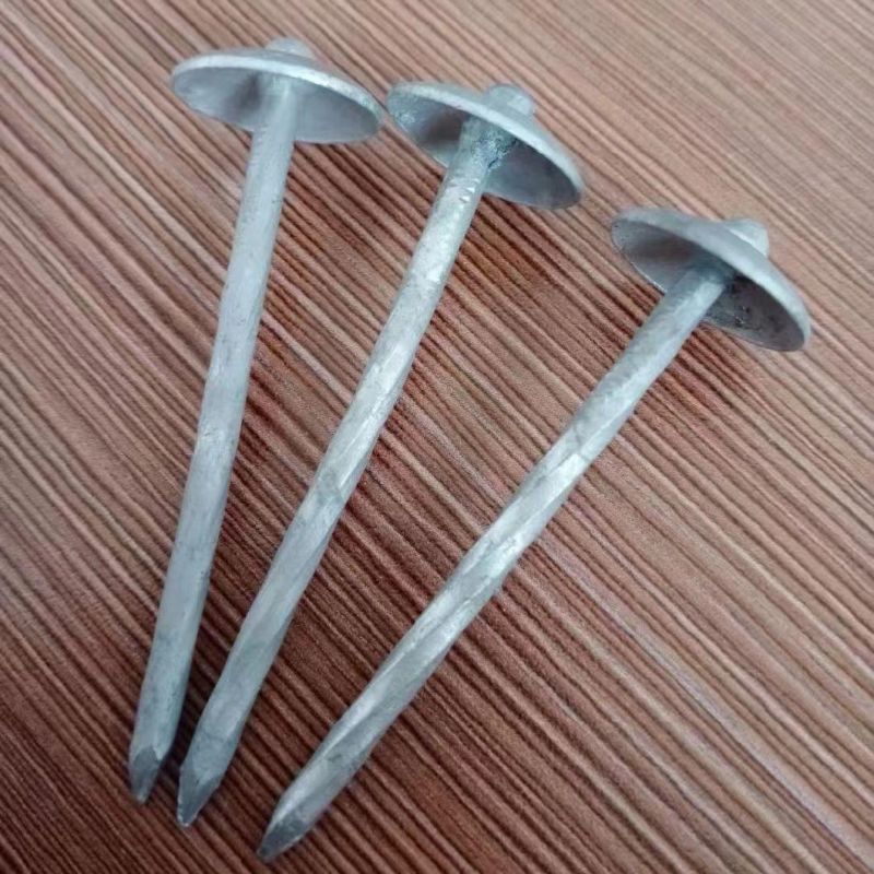 3" Smooth Shank Galvanized Finished Umbrella Head Roofing Nails