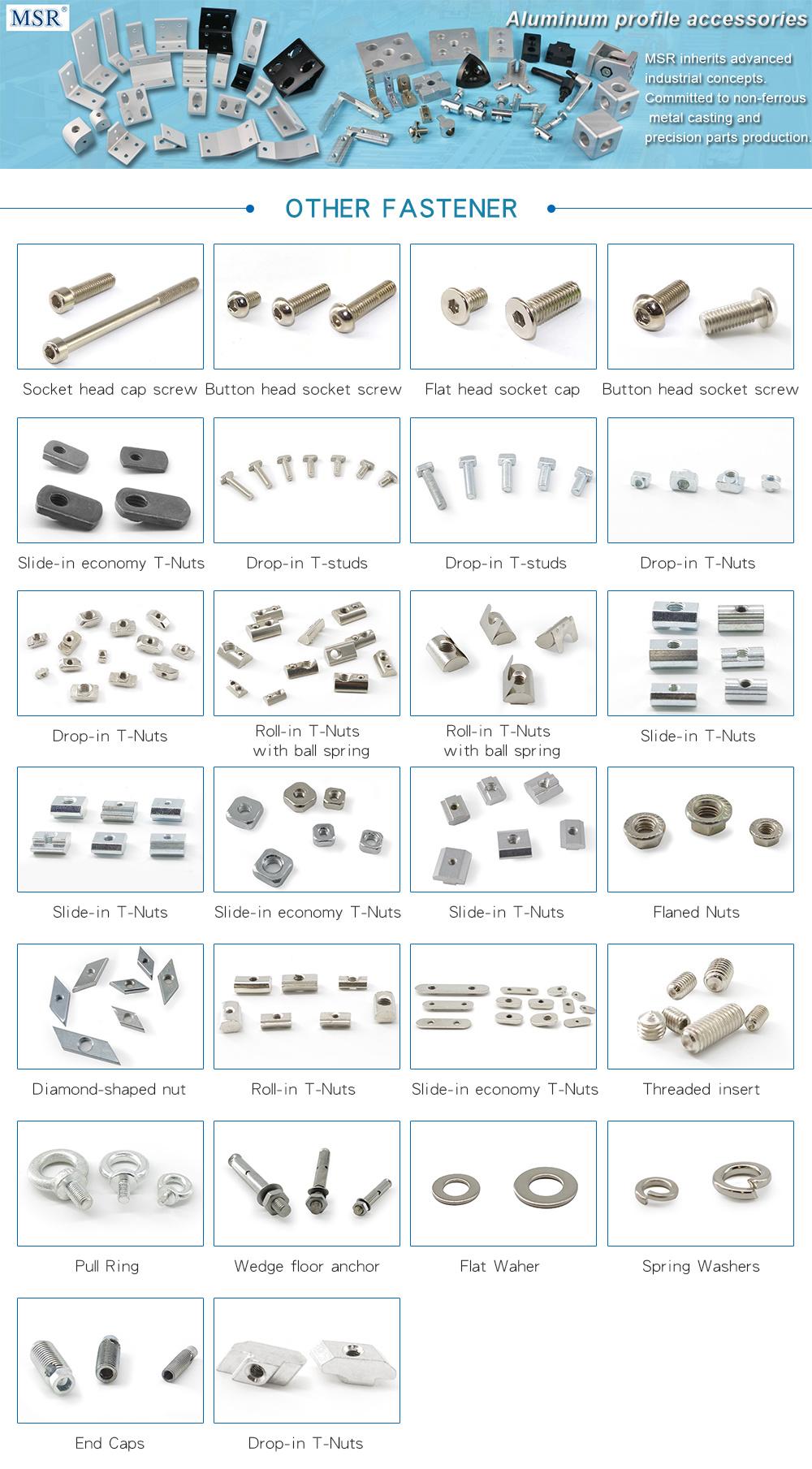 Steel Ob40 M5 Roll-in T Nuts with Ball Spring for Aluminium Profile