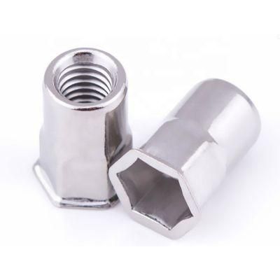 Stainless Steel Double Hex Countersunk Head Rivet Nut for Screw