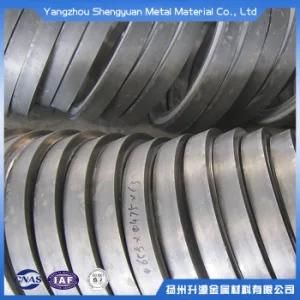 High Durability Aluminum Forged Flange for Hydraulic Pipe