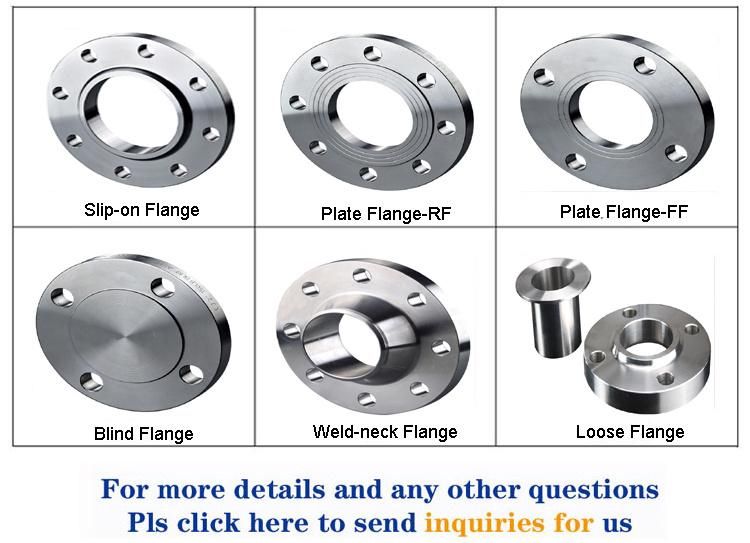 Hot Sell Stainless Steel Forged Flange