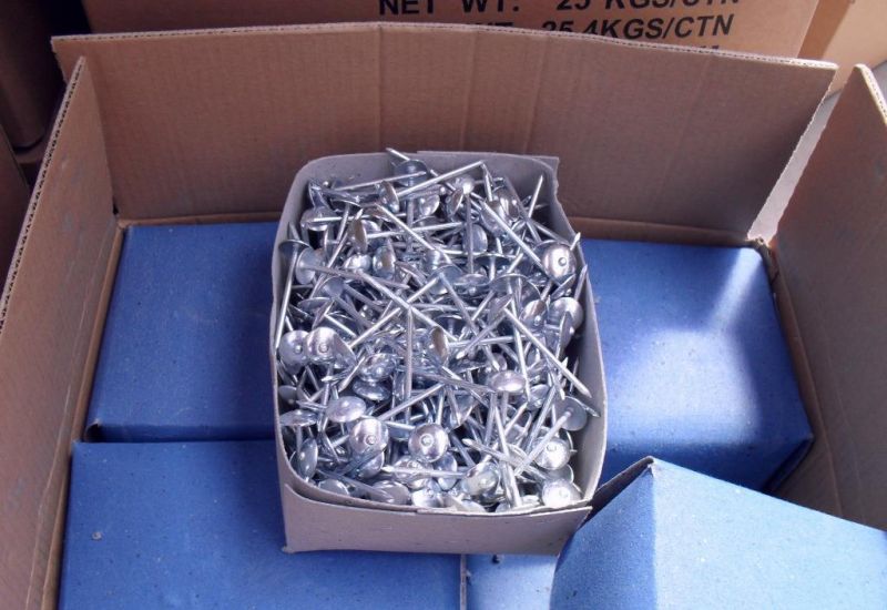 Screw Shank Roofing Nail with Umbrella Head in Material Q195