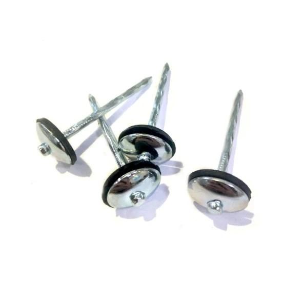 China Galvanized Umbrella Head Roofing Nails
