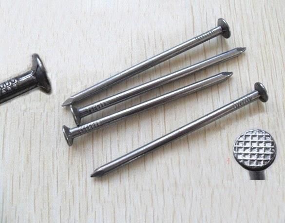 Wire Nails From Guangzhou Supplier