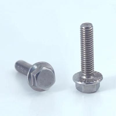 Manufacture Galvanized Stainless Steel 304 316 Hex Flange Head Bolt and Fastener of Bolt Screw Supplier