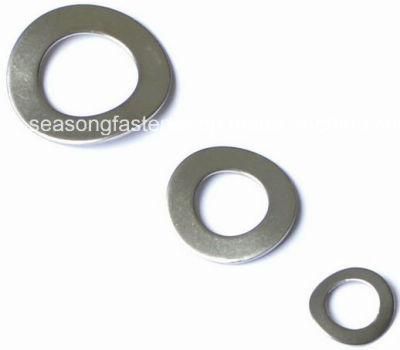 Stainless Steel Wave Spring Washer (DIN137)