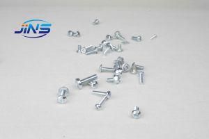 Customize Screws of Various Sizes