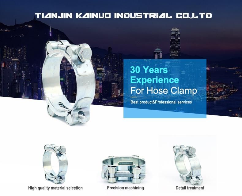 Galvanized Iron Heavy Duty Hose Clamp with Double Bolts, Adjustable Range 162-174mm