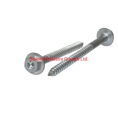 Screw Factory China