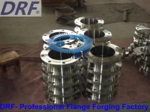 Stainless Steel Flange ANSI B16.5