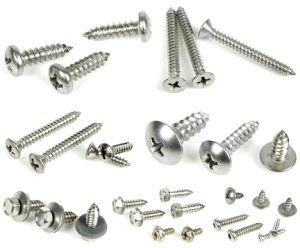 Hardware Fastener Self Drilling Screw Metal Manufacturer
