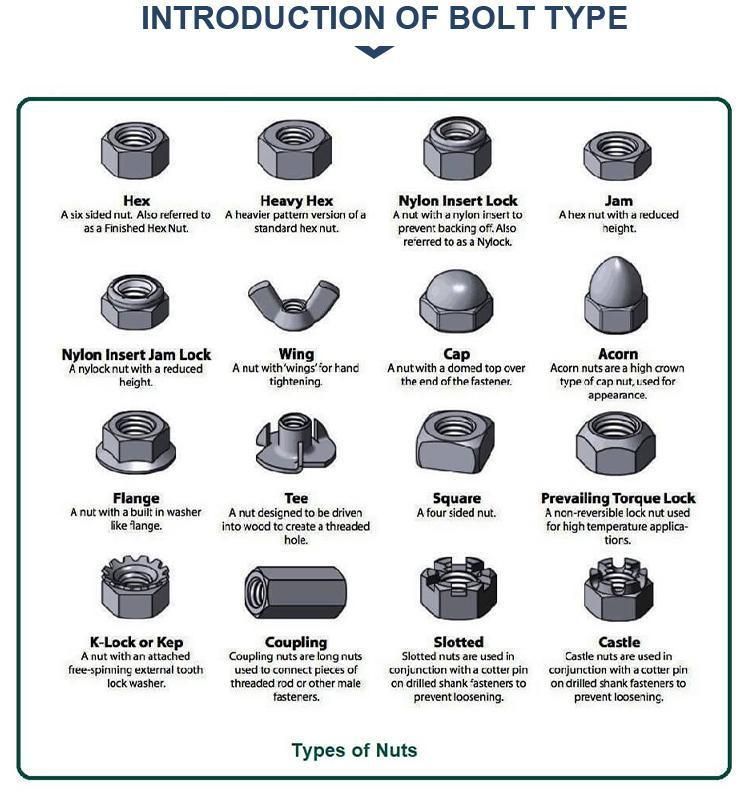Made in China Metric Carbon Steel DIN6923 Stainless Steel Flange Serrated Nut Hex Flange Nuts