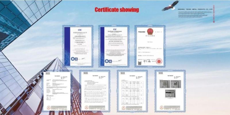 Stainless Steel AISI 410 Hex Indented Washer Head Self Drilling Screws with Lower and Topper Thread