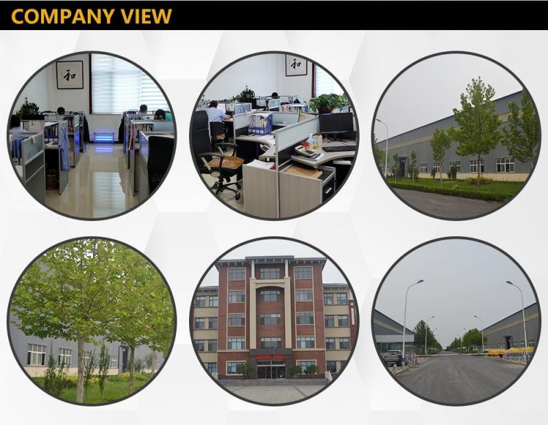 Alloy Steel Plate Type Forged Threaded Flange
