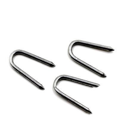 Hot Sale U Shape Common Nail From Guangzhou Supplier