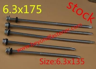 Screw /Self Tapping Screw/Fastener/Hex Bolts