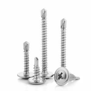 Ss410 Stainless Steel M4.2 M4.8 Cross Recessed Phillips Pan Washer Wafer Head Roofing Self Tapping Drilling Screw/Hot Sale Products