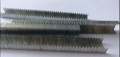 Grapas; Staple; Nail; Clavos; Divergent Point Staple