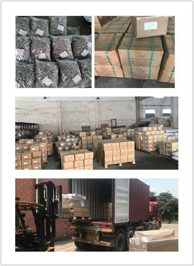Stainless Steel Screw Manufacturer with High Quality