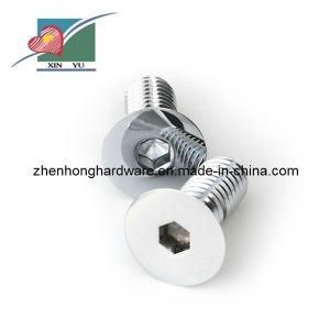 Self-Drilling Screw Tapping Screw (ZH-TS-002)