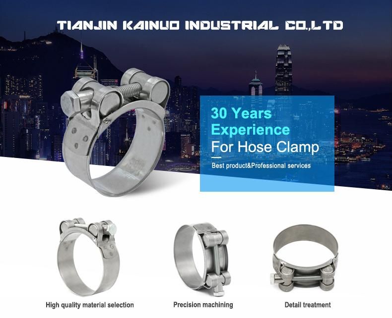 304ss Stainless Steel Adjustable High Pressure European Type Heavy Duty Single Bolt Super Power Unitary Hose Clamp for Automotive, 240-252mm